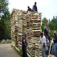 Ifs millénaires de La Haye-de-Routot