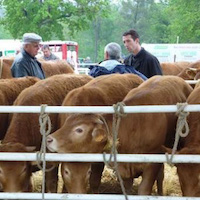Foire de la Latière