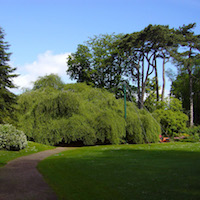 Patrimoine végétal de Bayeux