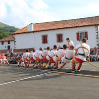 Force basque