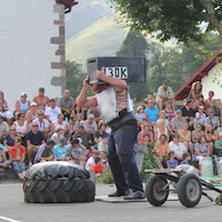 Force basque