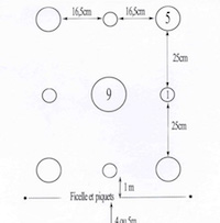 Le jeu de quilles breton / Kilhou koz