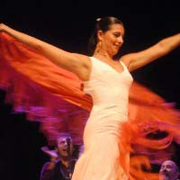 Flamenco