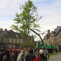 Arbre de mai de Locronan