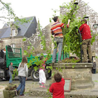 Arbre de mai de Locronan