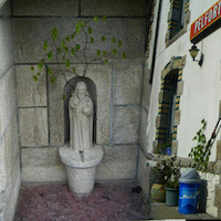 Branche de mai dans le Morbihan
