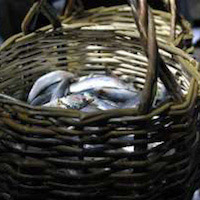 Les savoir-faire vanniers en Bretagne : le Baskodenn