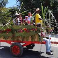 Carnaval de Marie-Galante