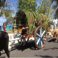 Carnaval de Marie-Galante