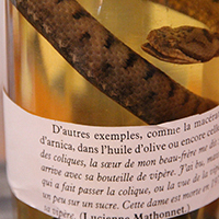 Les savoir-faire du Briançonnais : les plantes médicinales