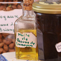 Les savoir-faire du Briançonnais : les plantes médicinales