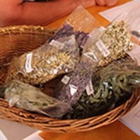 Les savoir-faire du Briançonnais : les plantes médicinales