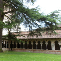 La culture du raisin chasselas de Moissac