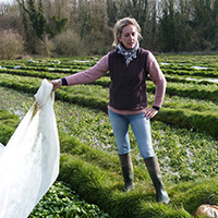 La culture du cresson à Méréville