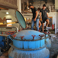Les pratiques de culture des lavandes dans les Alpes-de-Haute-Provence