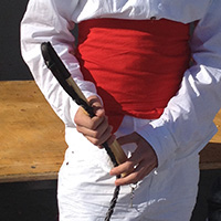 Le carnaval de Montblanc