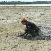 La pêche à la palourde dans le golfe du Morbihan