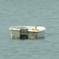 La pêche à la palourde dans le golfe du Morbihan