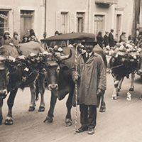 Les fêtes des bouviers et des laboureurs de la Drôme