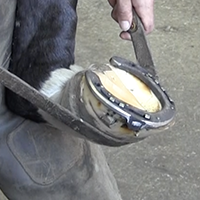Les savoir-faire de la maréchalerie, pratiques d'atelier de la Garde républicaine