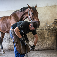 Les savoir-faire de la maréchalerie, pratiques d'atelier de la Garde républicaine