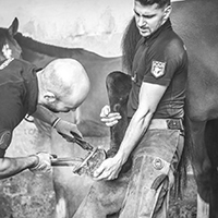 Les savoir-faire de la maréchalerie, pratiques d'atelier de la Garde républicaine