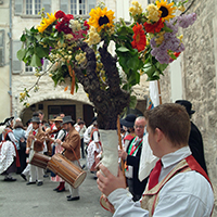 Les fêtes de la vigne et du vin en basse vallée du Rhône