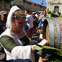 Les fêtes de la vigne et du vin en basse vallée du Rhône