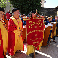 Les fêtes de la vigne et du vin en basse vallée du Rhône