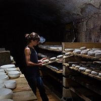 Les pratiques d’élevage caprin et les savoirs fromagers au lait de chèvre dans le massif des Bauges