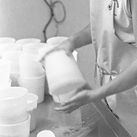 Les pratiques d’élevage caprin et les savoirs fromagers au lait de chèvre dans le massif des Bauges
