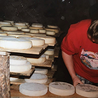 Les pratiques d’élevage caprin et les savoirs fromagers au lait de chèvre dans le massif des Bauges