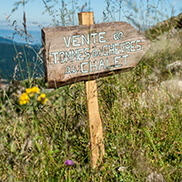 Les pratiques d’élevage caprin et les savoirs fromagers au lait de chèvre dans le massif des Bauges