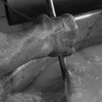 Les pratiques d’élevage caprin et les savoirs fromagers au lait de chèvre dans le massif des Bauges