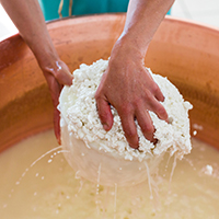 Les pratiques d’élevage caprin et les savoirs fromagers au lait de chèvre dans le massif des Bauges