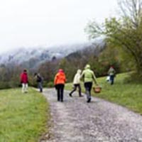 Les savoirs de la cueillette dans le massif des Bauges