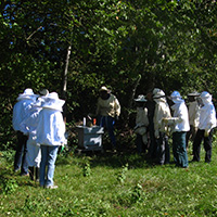 Les savoirs de l’apiculture dans le massif des Bauges