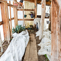Les savoirs du jardin potager dans le massif des Bauges