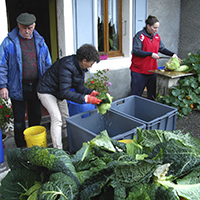 Les savoirs du jardin potager dans le massif des Bauges
