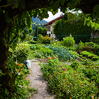Les savoirs du jardin potager dans le massif des Bauges