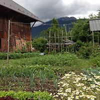 Les savoirs du jardin potager dans le massif des Bauges