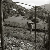 Les savoirs du jardin potager dans le massif des Bauges