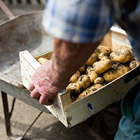 Les savoirs du jardin potager dans le massif des Bauges