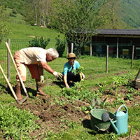 Les savoirs du jardin potager dans le massif des Bauges