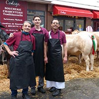 La tradition des boeufs gras à Bayonne