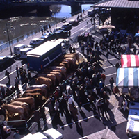 La tradition des boeufs gras à Bayonne