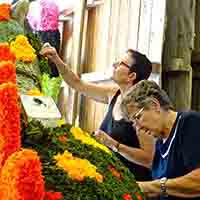 Les fêtes des Fleurs dans les stations thermales des Pyrénées