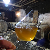 L'élaboration de l'eau-de-vie d'Armagnac