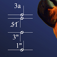 Les savoirs et techniques de notation du mouvement selon le système d’écriture Conté