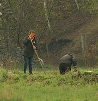 Les pratiques d'irrigation gravitaire du Briançonnais